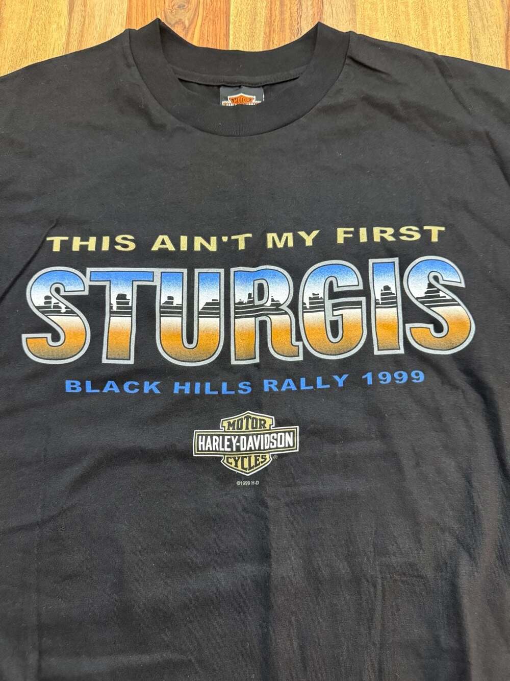 Vintage 1999 Harley-Davidson This Ain't My First Sturgis Rally T-Shirt